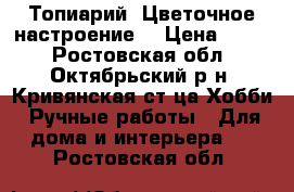 Топиарий (Цветочное настроение) › Цена ­ 650 - Ростовская обл., Октябрьский р-н, Кривянская ст-ца Хобби. Ручные работы » Для дома и интерьера   . Ростовская обл.